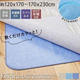 【最大9000円クーポン★マラソン期間】【10％OFFセール★カラー限定】除湿シート 除湿マット 湿気取り 除湿ラグ すべり止め 下敷き 洗える アンダーラグ ラグ ラグマット カーペット 除湿 滑り止め付き ＜カーペット用 除湿シート カラリーノ / 約1畳 2畳 3畳 ＞