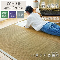 楽天市場】い草（カーペット・マット・畳｜インテリア・寝具・収納）の通販