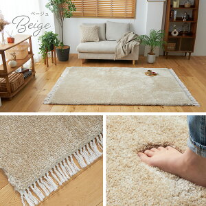 ラグ ラグマット カーペット シャギー シャギーラグ 洗える ふわふわ 北欧 おしゃれ オールシーズン 極厚 厚手 マイクロファイバー かわいい 冬 冬用ラグ 冬用 1畳 2畳 3畳 正方形 長方形 冬ラ