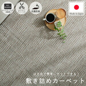 yő5000~N[|X[p[Z[zynT~Ńt[JbgzJ[ybg イ 傫  􂦂 ` 2 O イ O~ rO Y R zbgJ[ybg 