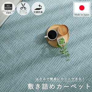 【最大5000円OFFクーポン★マラソン期間】【ハサミでフリーカット】カーペット 大きい おしゃれ 洗える 正方形 4.5畳 ラグ 絨毯 リビング 国産 日本製 抗菌 ホットカーペット 床暖房対応 切る