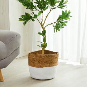 ySi|Cg7{1zJo[ JS  i` AWA AWAG v^[Jo[ oXPbg  [  k  [ t[r[ MTCY / 26x24cm