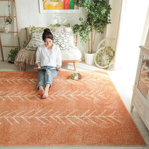 O O}bg J[ybg R REBX h_j ` 1.5 { ԕ΍ k I[V[Y rO ~ EBX΍ 킢  zbgJ[ybgΉ IW 