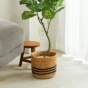 Jo[ JS  i` AWA AWAG v^[Jo[ oXPbg  [  k  [ ^[ STCY / 20x18cm