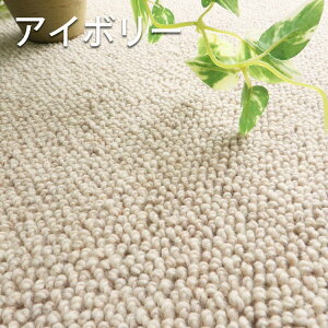 yTCYHzO O}bg J[ybg E[ E[100 r R h_j h zbgJ[ybgΉ { h k n I[V[Y rO O[ ubN@AC{