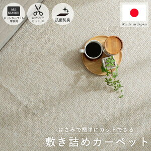 yő5000~N[|}\zynT~Ńt[JbgzJ[ybg イ 傫  􂦂 ` 6 O イ O~ Y { R zbgJ[ybg g[