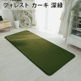 【30%OFF★ロングビーチカフェブラウン限定】ラグ ラグマット はっ水 ラグ 洗える カーペット 低反発 厚手 極厚 オールシーズン ラグカーペット 絨毯 ペット 小さめ 大きめ 北欧 オシャレ リビング 冬用 床暖房対応 ホットカーペット対応 ＜ホリデープラス1畳 2畳 3畳＞