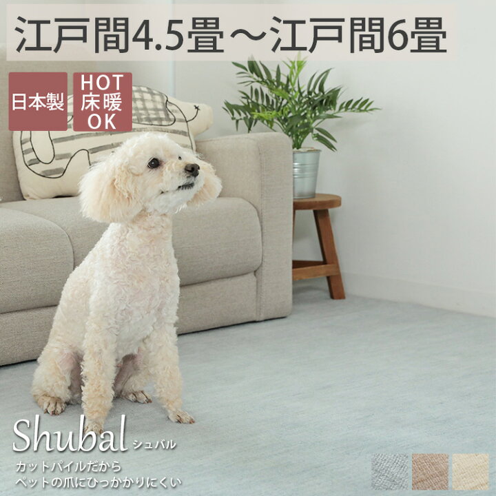 楽天市場】【最大半額クーポン☆マラソン中】ハサミで フリーカット 