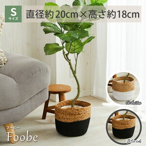 yő5000~N[|}\zJo[ JS  i` AWA AWAG v^[Jo[ oXPbg  [  k  [ t[r[ STC