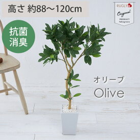 【2500円クーポン★マラソン】フェイクグリーン 大型 抗菌 消臭 観葉植物 フェイク 光触媒 人工観葉植物 オリーブ 造花 インテリア おしゃれ お祝い 鉢 植木 葉 枝 木 室内 玄関 オフィス 爽やか ＜フェイクグリーン / オリーブ ツリー 約88cm 約120cm＞