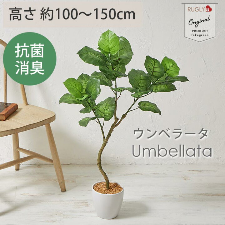 楽天市場】【最大2500円クーポン☆マラソン中】フェイクグリーン 大型  