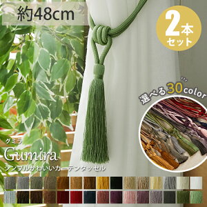 J[e^bZ [v^bZJ[eǂ [v  [v IV k  i  k ӂ J[etbN Ƃ J[e^bZ O~ 2{ / 48cm / No1`N