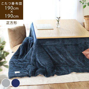 Tommy. g~[ |zc ` [ Pi ]zc 190 ` N tl | Jo[ t[X |  ȃXy[X O[ lCr[ Be[W jO VbN 