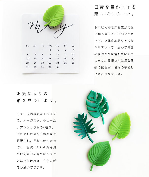 楽天市場 あす楽 メーカー直送 Toropical Leaf Magnet トロピカルリーフ マグネット磁石 冷蔵庫 マスク掛け マスクホルダー おしゃれ かわいい グリーン 植物 葉っぱ リーフ ボタニカル 文房具 強力 ミニチュア インテリア 雑貨 プレゼント Sj らぐー