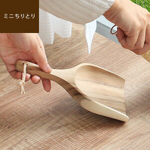 yő2000~OFFN[|zzz Acacia Mini Dustpan AJVA ~jƂo `g _Xgp Ƃ  k  |pi |ObY | e[u fXN H ׋ 