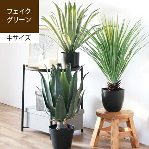 yő1000~OFFN[|zzz Fake Green Toman tFCNO[ g}ϗtA tFCN   lH ~jpCibv E[c AKx ^ v^[ A   Ce