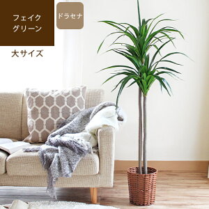 肥料 ドラセナ Diy 工具の人気商品 通販 価格比較 価格 Com