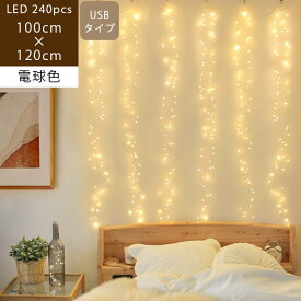 【送料無料/あす楽/メーカー直送】スターリーカーテンワイヤーライト Sled ワイヤーライト クリスマス イルミネーション ナイアガラ ライト 部屋 電飾 ガーランド usb デコレーションライト 装飾 ライトアップ 窓 飾り付け 誕生日 結婚式 ssi