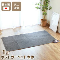 楽天市場】ほかほかカーペットの通販
