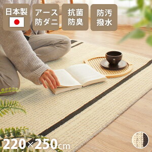 yő2000~OFFN[|zzz O  { 220×250cm 3 O}bgJ[ybg イ I[V[Y ^tg R hL A[Xh_j rO Y `F[[v zbgJ