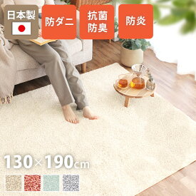 シャギーラグ 長方形 130×190cm 北欧 おしゃれ モダン 高機能 日本製 機能性 防ダニ 抗菌 防炎 じゅうたん ホットカーペット 対応 床暖 対応 子供部屋 秋 冬 寒さ対策 ラグマット フィアート Fiato ta