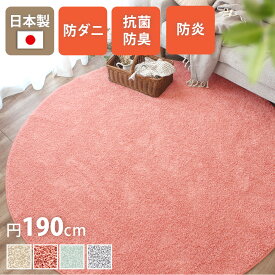 シャギーラグ 円形 190Rcm 北欧 おしゃれ モダン 高機能 日本製 機能性 防ダニ 抗菌 防炎 じゅうたん ホットカーペット 対応 床暖 対応 子供部屋 秋 冬 寒さ対策 ラグマット フィアート Fiato ta
