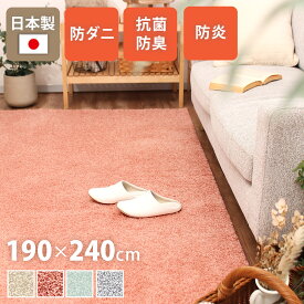 シャギーラグ 長方形 190×240cm 北欧 おしゃれ モダン 高機能 日本製 機能性 防ダニ 抗菌 防炎 じゅうたん ホットカーペット 対応 床暖 対応 子供部屋 秋 冬 寒さ対策 ラグマット ラグ フィアート Fiato ta