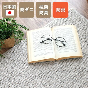 O  J[ybg{ 352×440cm 10 ` h_j RۖhL  h h gΉ O ybg n t[Jbg ݂͂Ő؂ ʔN O~ RۖhL Vv  ~l