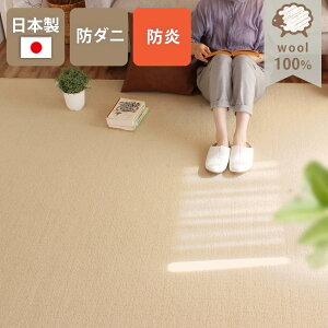 O  J[ybg{ 261×261cm 4.5 ` E[100% VR h_j RۖhL h h gΉ O n t[Jbg ݂͂Ő؂ ʔN O~ Vv  ~l Pure Sh