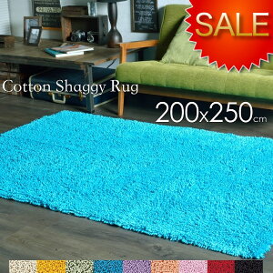 VM[O y 󂠂 z 100% Rbg  킢 􂦂 3 200x250 200×250  yz