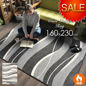 O O}bg _ rOO EBgD   k _ EF[u 160x230  3 ` 킢  AC{[ ubN O~ Z^[O ؍CeA 