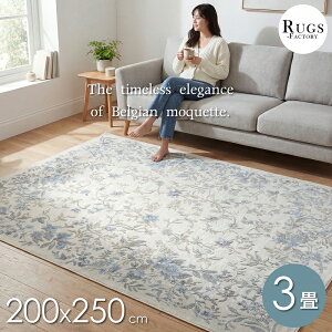 ���O �ėp �ē~���p 3�� 200x250 �J�[�y�b�g �O�~ ������� �t �t�p �� �ėp �ɂ��œK ���P�b�g�D ���P�b�g�D�� ���P�b�g ���O�}�b�g �N���V�b�N �ԕ� �t�����[�f�U�C�� ���[�t�� �{�^�j�J�� ��