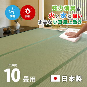 L@\t 􂦂h~ ɔu 440×352cm y]ˊ10z10 ~ O[O hO a a_ ~l߂郉O CeA  ւ \ւ  tďH