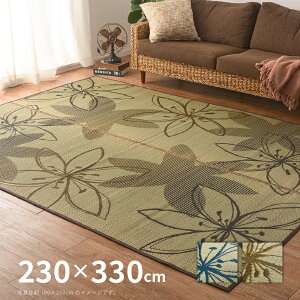 y|Cgő10{12/4 20`12/5zO RpNgO tFA[ 230×330cm y6z y\Lz u[ uE m ԕ |bv ܂肽߂郉O 䑐 COT  