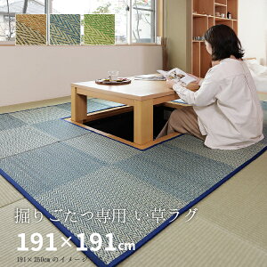 @育pI O O J[ybg 191×191cm y2.5z y\z RJr L 2.5 C   J[ybg 2  s͗l ` COT  䑐  tďH~p 