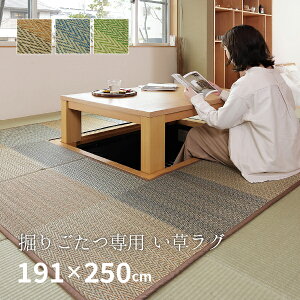 @育pI O O J[ybg 191×250cm y3z y\z RJr L 3 C   J[ybg  s͗l ` COT  䑐  tďH~p Ђ