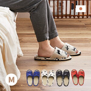 y|Cgő10{12/4 20`12/5zXbp  mlR MTCY `26cm܂őΉ Y { LObY jZbNX  [V[Y fB[X Mtg v[g 킢 