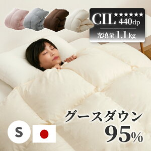 y|Cg5{11/25z{ Hѕzc 20}X̃Lg zCgO[X_E 95 R 440dpȏ [U 1.1kg H zc |zc ~ y g |zc VO Y