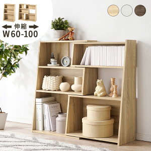 y|Cgő10{12/4 20`12/5zXCh LkI[vbN 60cm`100cm ([ {I  ubNVFt fBXvCbN R[i[bN I 3i 90cm Lk px