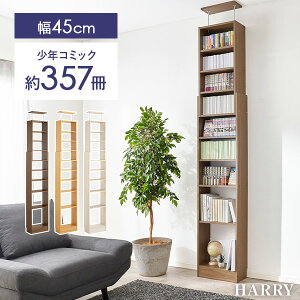 ˂莮{I 45/60cmyHARRYzn[({I e I [  X ȃXy[X { bN I[vbN ς ǖ  RpNg R~bN  [I [ R~b