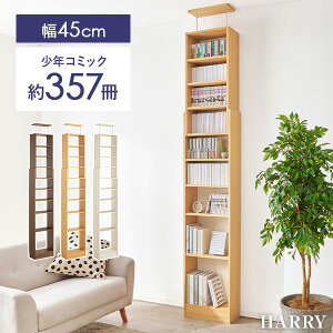 yȃN[|聚撅z˂莮{I 45/60cmyHARRYzn[({I e I [  X ȃXy[X { bN I[vbN ς ǖ  RpNg R~bN