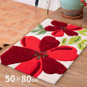 �y�|�C���g�ő�10�{��12/19 20���`12/20����z�􂦂錺�փ}�b�g �A�x�� ��50×80cm �}�b�g �ԕ� �A�N�Z���g�}�b�g ���� ���� �Ԃ��� ���� �G���g�����X�}�b�g ����