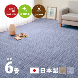 【ポイントアップ★4/24 20時～4/25限定】カーペット 抗菌 シオン2 約286×382cm【本間6畳】6帖 カットできる 格子柄 タフトカーペット 平織リ 敷き詰めカーペット ラグマット おしゃれ ラグ 絨毯 北欧 モダン 市松模様 和室 オール