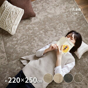 y|Cgő10{12/4 20`12/5zy􂦂Eh_jz _CjOO DKEbh DKXeB[ 220×250cmy3z 􂦂 g[Ή ~ߕt  Vv {