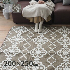 【10%OFFクーポン★6/8限定】北欧テイストのやわらかタッチラグ ナイト 200×250cm 【約3畳】 ラグマット 洗える 北欧 かわいい ふわふわ グレー ブラウン