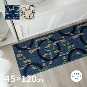 yȃN[|聚撅z~bL[ ~c}T[NLb`}bg DMM-5094 45×120cm fBYj[ LN^[ zbgJ[ybgΉ g[Ή ~ߕt