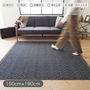 �y8%OFF�N�[�|����6/27�`29����z�E�[��100%���O �W�b�v�X�R�b�g ��190×190cm�y��2.5��z�h�_�j �h�� �E�[�����O ���g�Ή� ����~�ߕt�� F�������� �p���Y�r�� ���{��