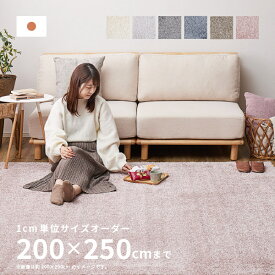 【ポイントアップ★4/24 20時～4/25限定】【サイズオーダー】 ラグ カーペット イルミエ 約200×250cm【約3畳】 オールシーズン 無地 防炎 防ダニ 滑り止め アレルブロック 花粉 サイズ加工 ホットカーペットカバー ラグマット じゅうた