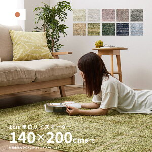 �y8%OFF�N�[�|����6/27�`29����z�y�T�C�Y�I�[�_�[�z ���O �J�[�y�b�g �􂦂郉�O �����X�g�� ��140×200cm�y��2��z �I�[���V�[�Y�� �h�� �h�_�j �h�� ����~�� �T�C�Y���H �z�b�g�J�[�y�b�g�J�o