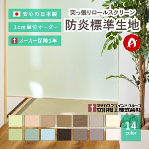 yTvzOK ς莮[XN[yTCYI[_[zyWhn 14F RRz 1N[J[ۏ { Y ˂ [J[e ډB  킢